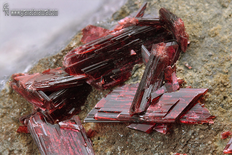 Cristales de eritrina