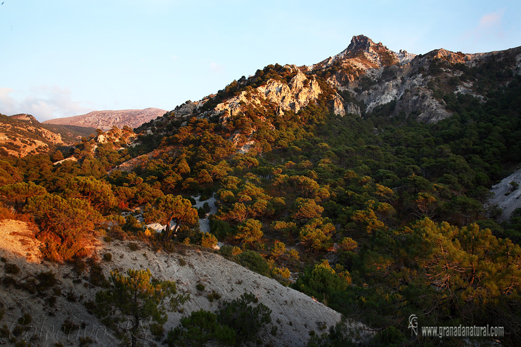 Trevenque al atardecer