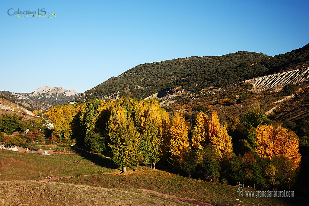 Venta del Molinillo