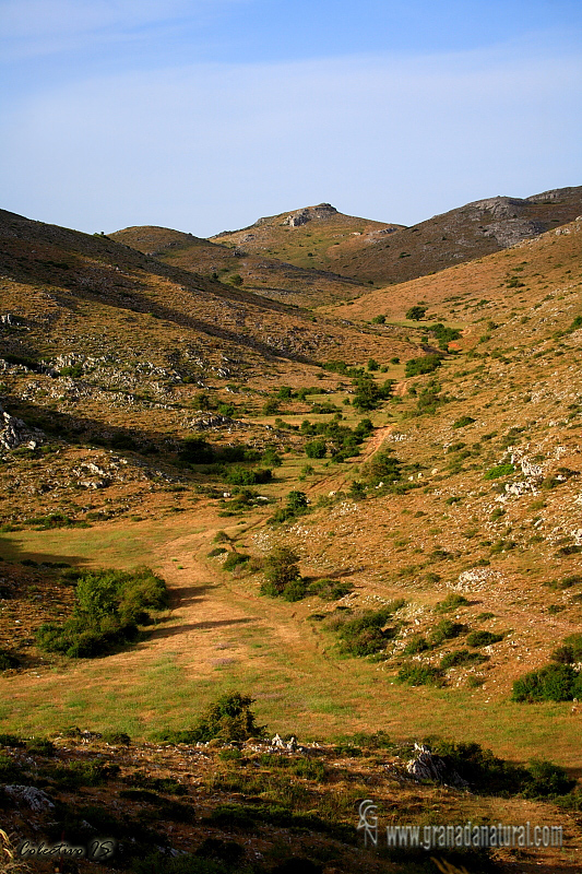 Puerto de La Losa