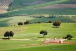 Campos de Alhama de Granada