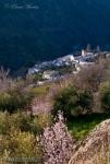 Ferreirola. Pueblos de la Alpujarra. 