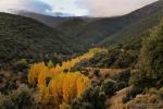 Otoño en el río Alhama ( Lugros).