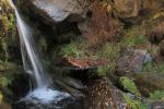 Cascada en Río Chico ( Sulayr: Tramo 5)