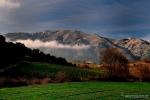 Sierra Tejeda (Alhama de Granada)