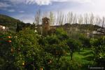 Yátor entre naranjos ( Cádiar). Pueblos de Granada