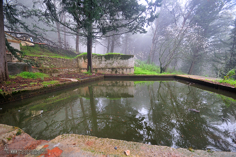 Alberca del cortijo Alcántara en la Sierra del Jaral