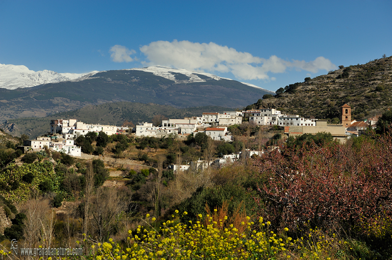 Alcazar un pueblo singular. Pueblos de Granada