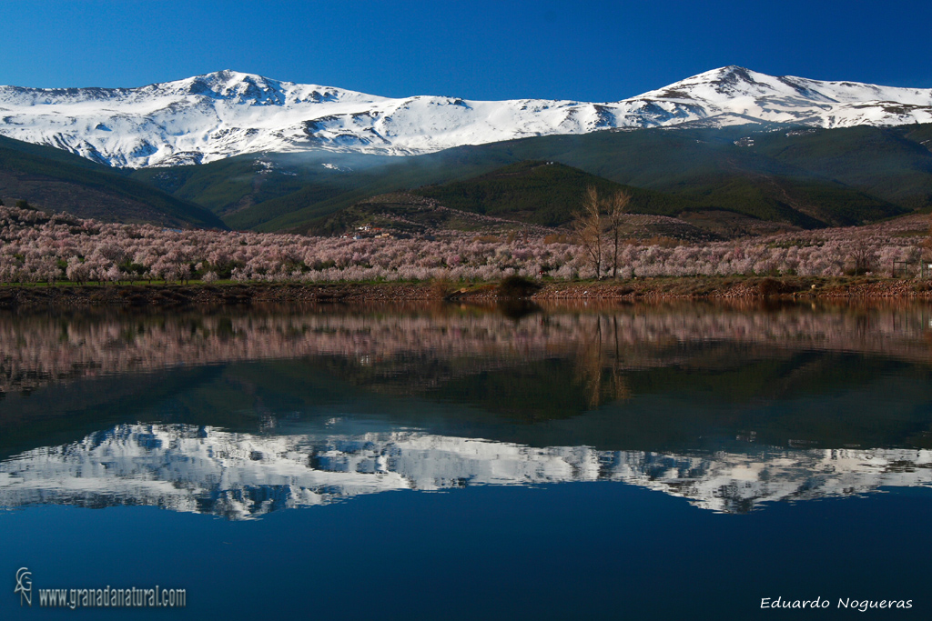 Morrón de Aldeire( Sierra Nevada)