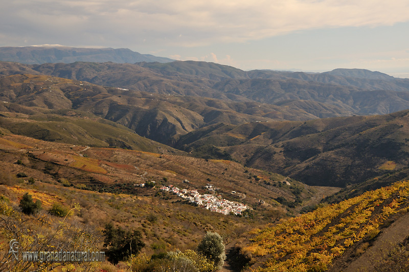 Alforn�n . Pueblos de Granada