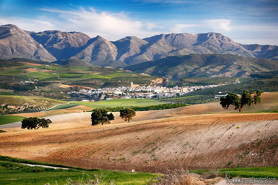 Alhama de Granada desde Cortijo Garcés