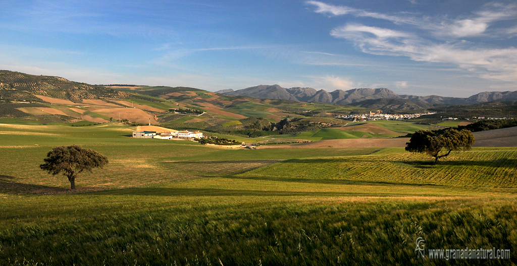 Cortijo Garcés (Alhama de Granada)