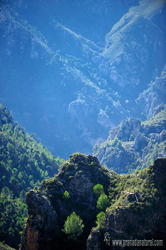 Ruta al rio Verde en la Almijara. 