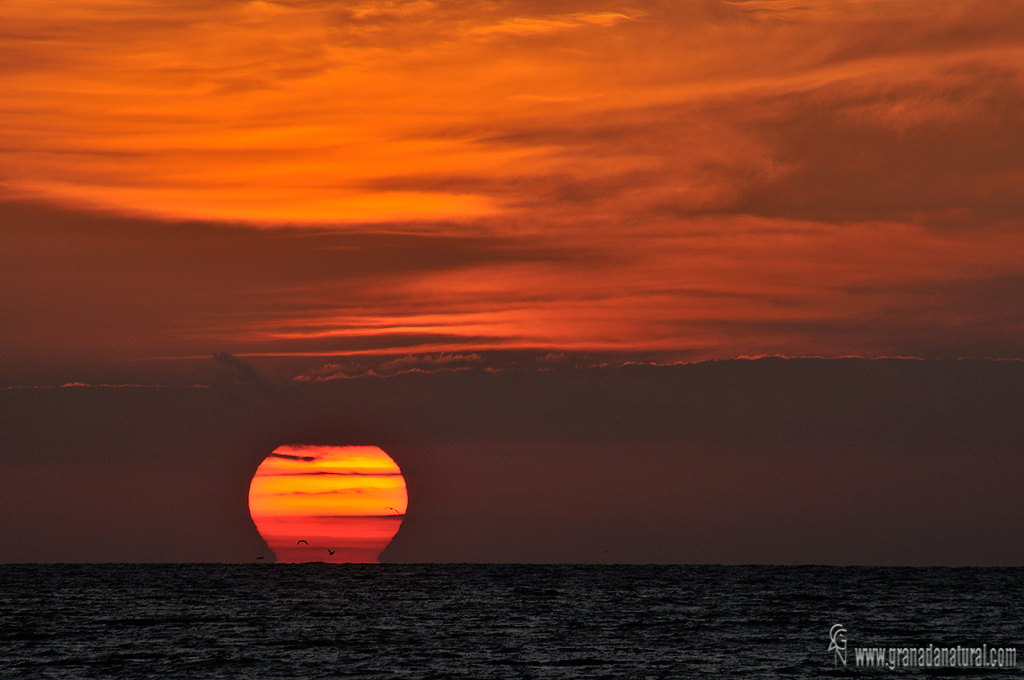 Amanecer en Carchuna ( Motril)