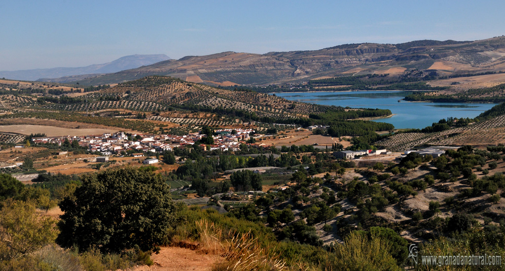 Arenas del Rey. Pueblos de Granada