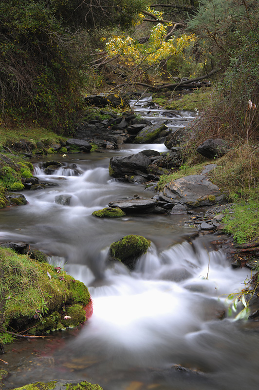 Arroyo Alcázar ( Area recreativa la Tizná)