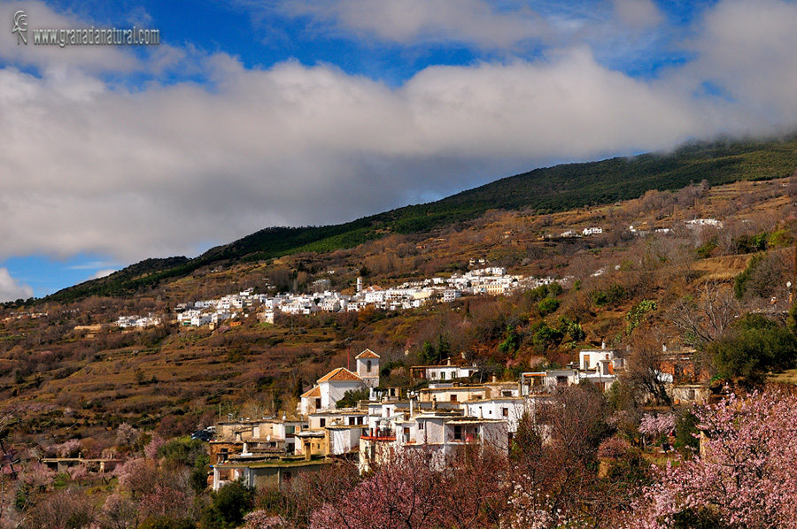 Atalbitar y Pitres (Ruta medieval-Alpujarra)