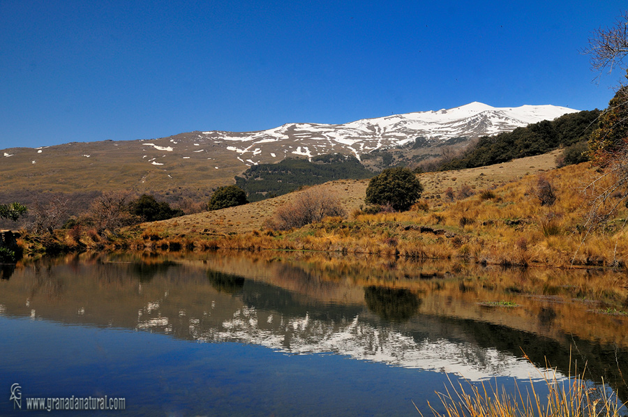 Sulayr : Tramo 5- Puente palo- Capileira. Reflejos en Almiar