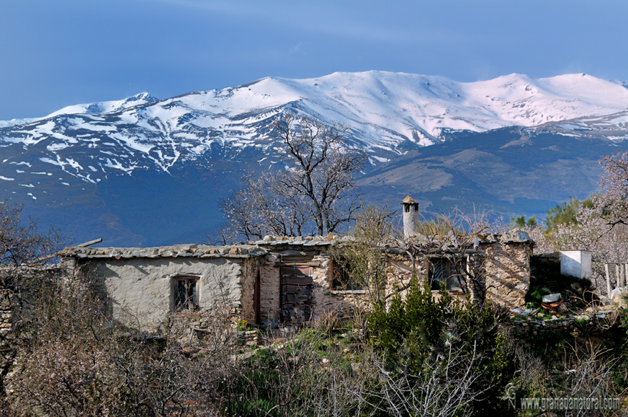 Bargis de abajo(Orgiva-Alpujarra). Paisajes de Granada