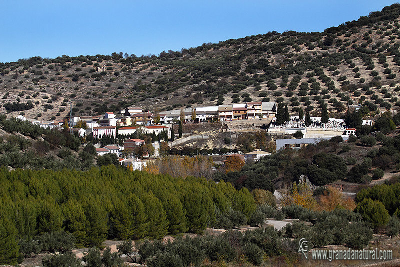 Benalúa de las Villas. Pueblos de Granada