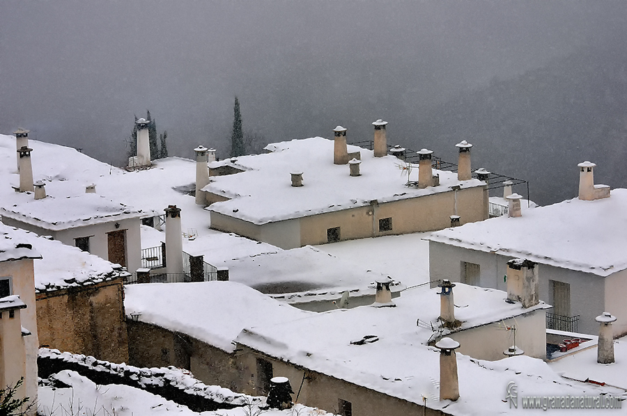 Terraos nevados de bubión.Paisajes de Granada