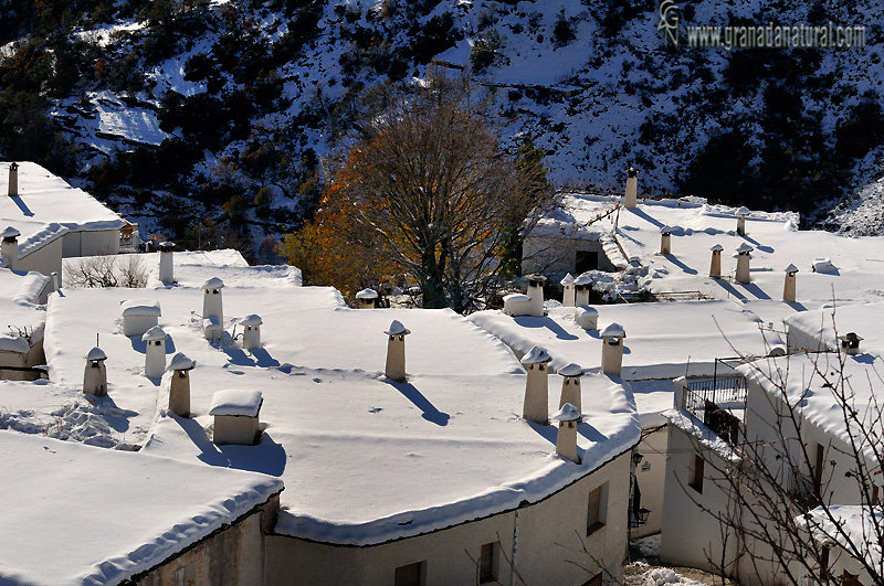 Terraos y chimeneas nevadas de Bubión