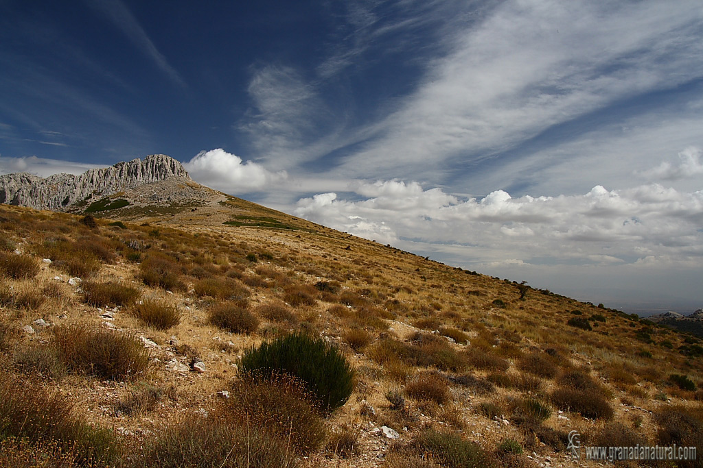 Cabeza del Caballo ( Sierra Arana)