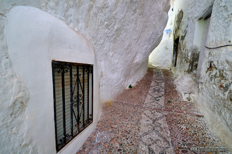 Rinc�n de los Gu�jares . Pueblos de Granada