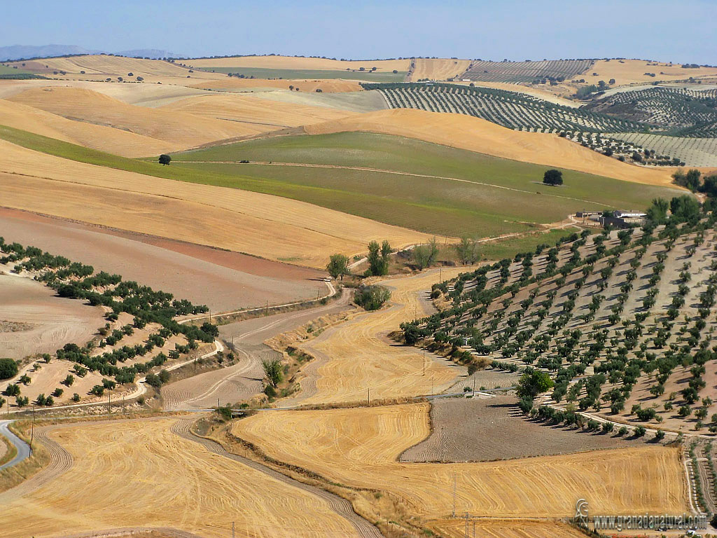 Tierras de Piñar