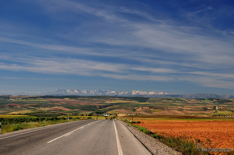 Campos de Guadahortuna