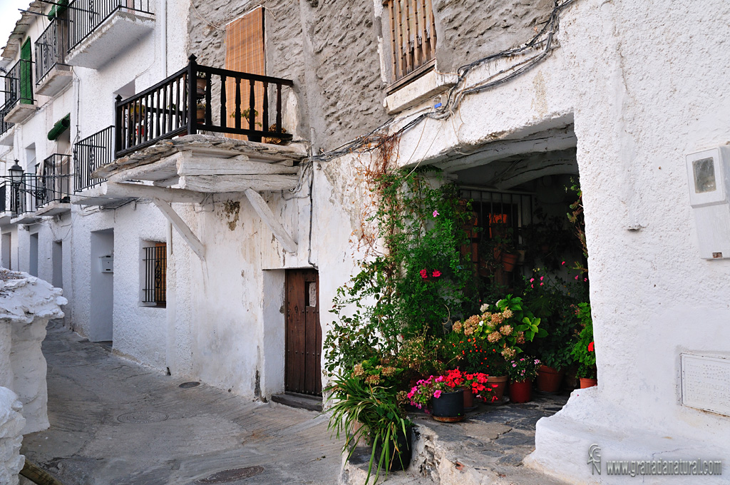 Rincón de Capileira ( Barrio Bajo)