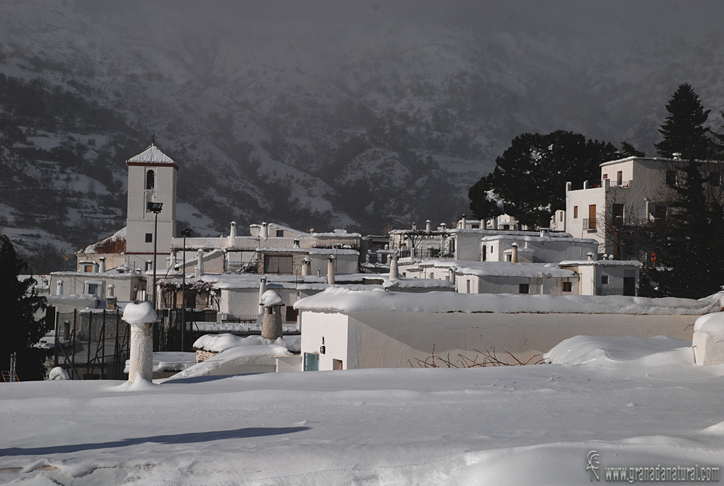 Capileira nevada