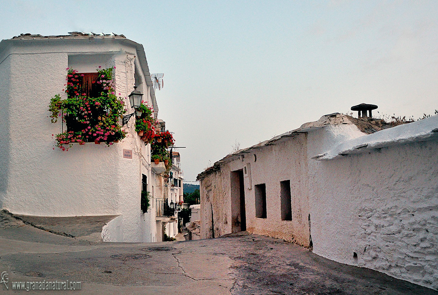 Calle Horno de Capileira. Pueblos de Granada Alpujarra