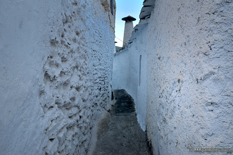 La Gran Vía de Capilerilla- la Tahá. Pueblos de Granada