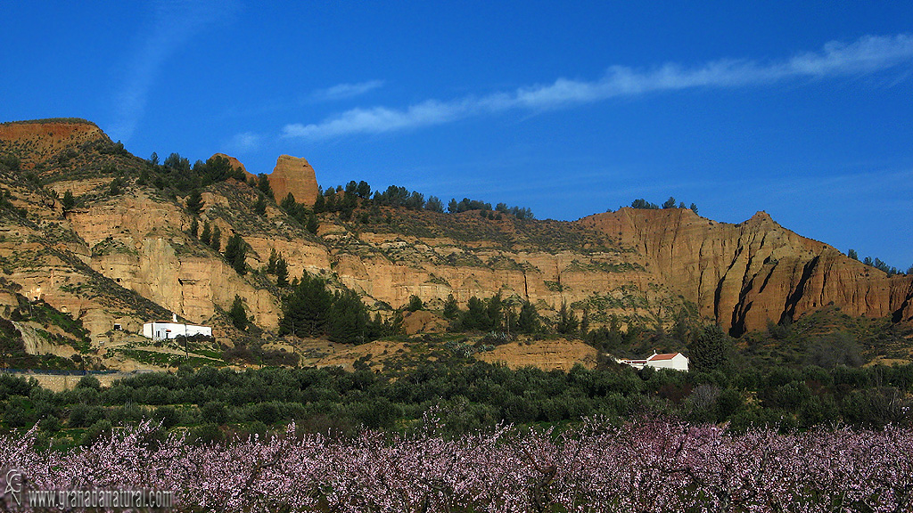 Monumento Natural de Carcavas de Marchal 1