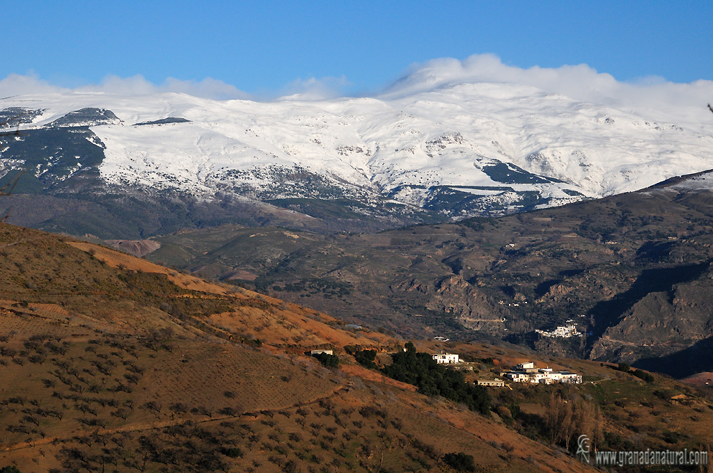 Cástaras y Sierra Nevada