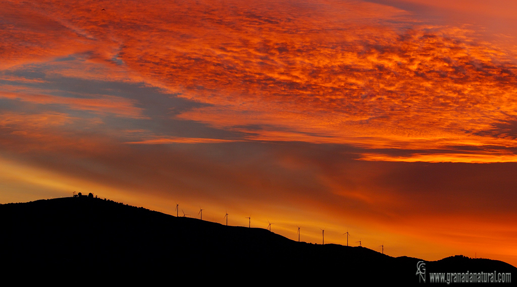 Amanecer en el Conjuro( Motril)