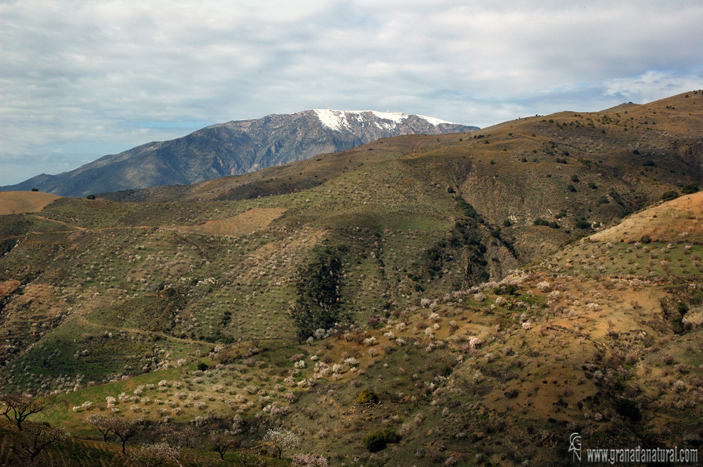 Invierno en la Contraviesa costera