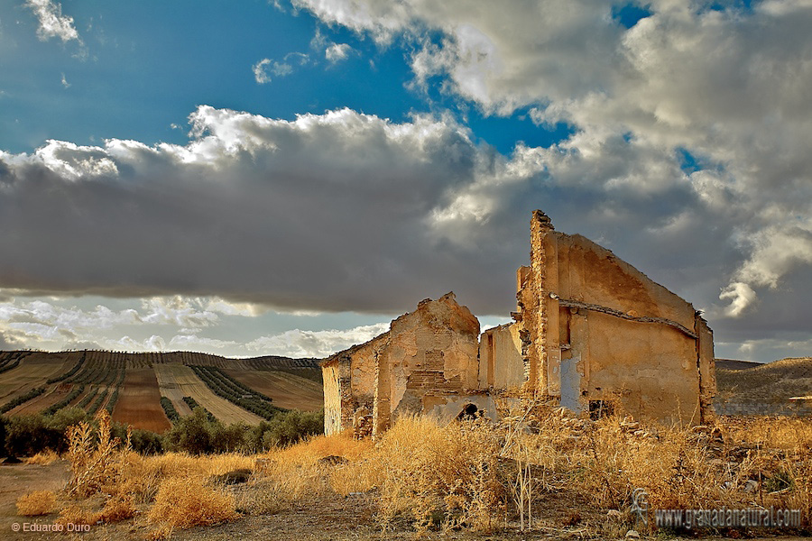 Ruínas del Cortijo de Noniles (Chimeneas).