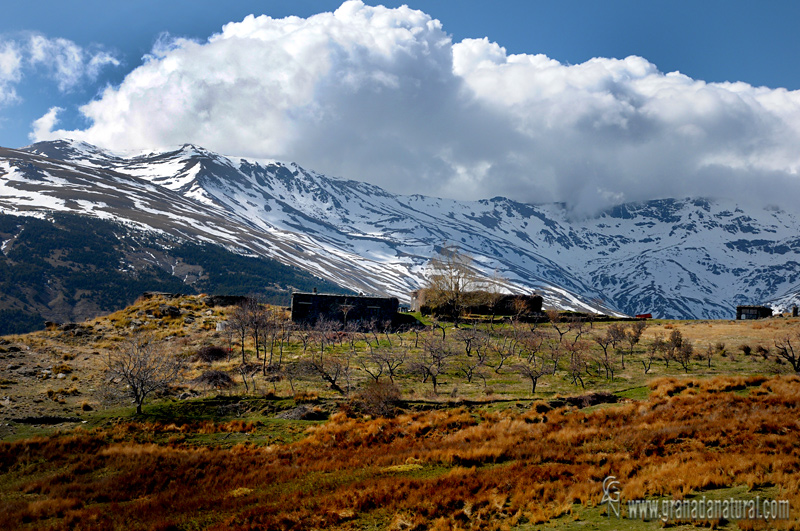 Cortijo Sim�n (Capileira-Sierra Nevada). Paisajes de Granada