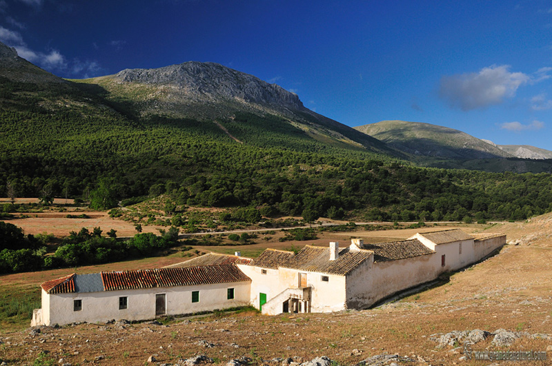 Cortijo de la Artichuela ( Sierra Arana)