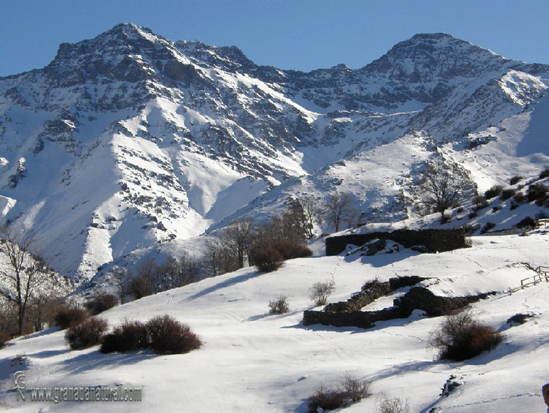 Cortijo del Hornillo y Sierra Nevada