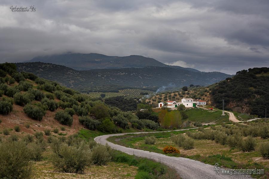 Cortijo Fiberoba ( Illora).