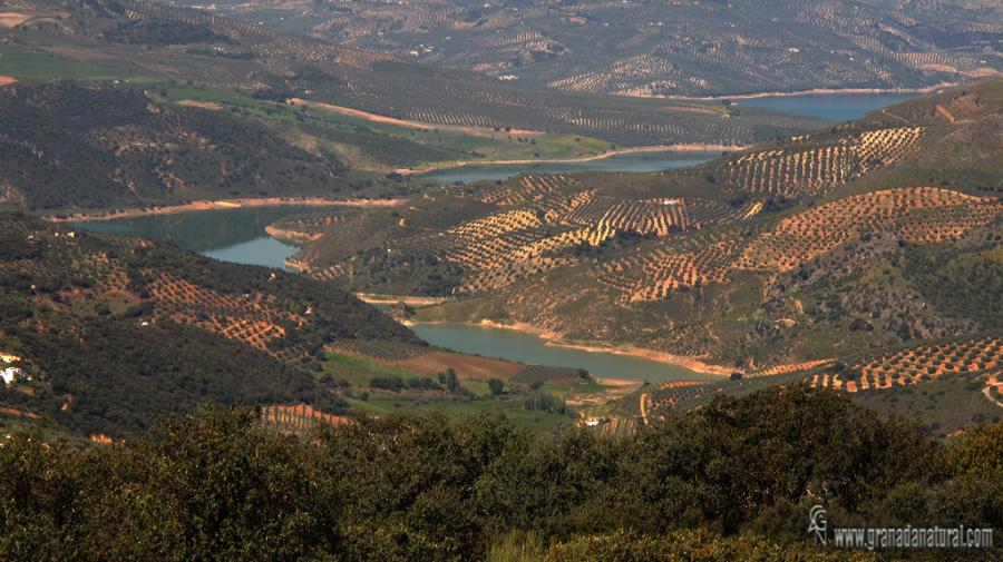 Pantano de Iznájar. 