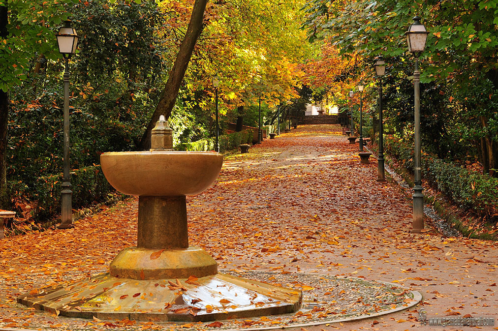 Fuente del tomate ( La Alhambra de Granada)