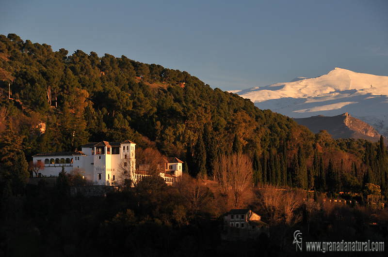 Generalife y Veleta