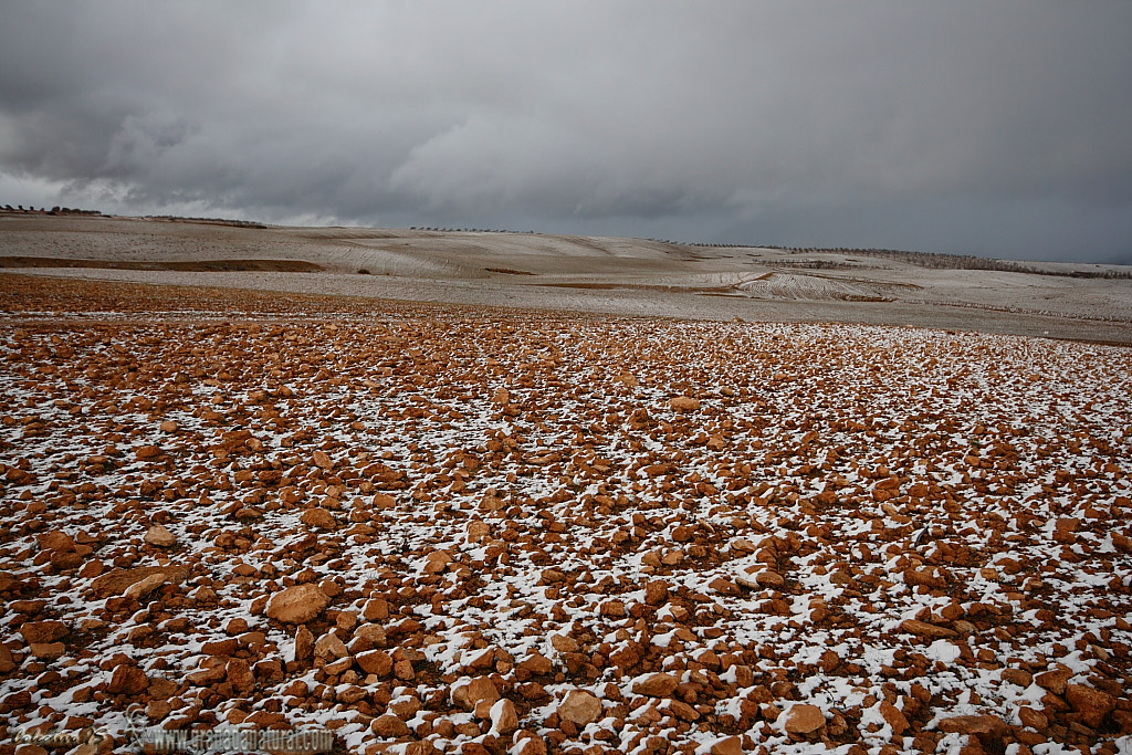 Valle del Zalabí. Altiplano granadino