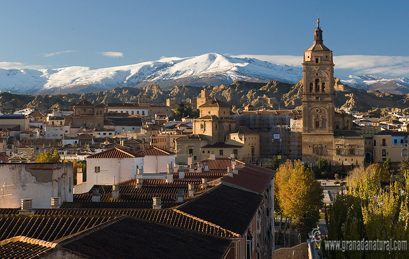 Guadix( vista parcial)