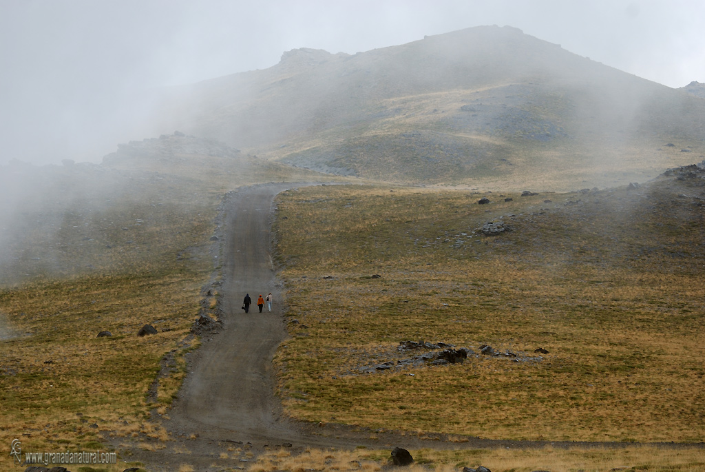 Hacia el Alto del Chorrillo (Sierra Nevada)