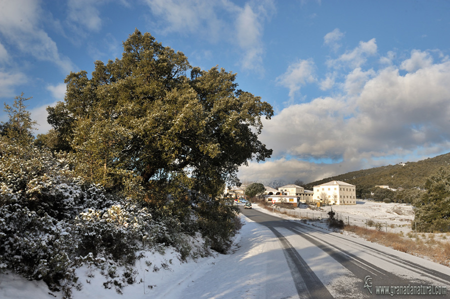 Venta de Haza del Lino y secadero. Paisajes de Granada